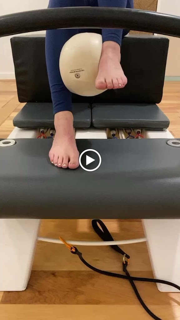  Shed Pilates + Fitness