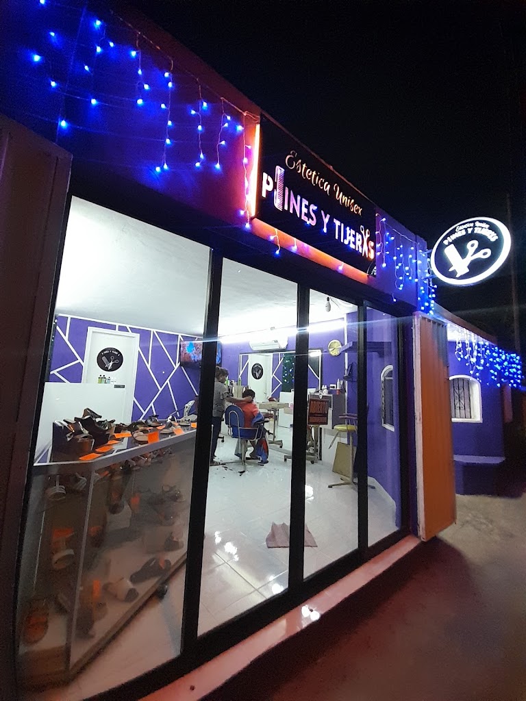 ESTETICA UNISEX PEINES Y TIJERAS — Exterior
