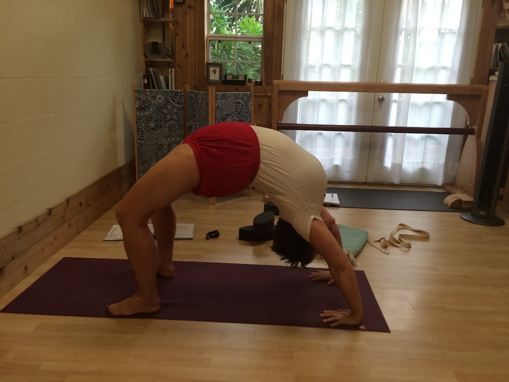  Community Yoga + Wellness