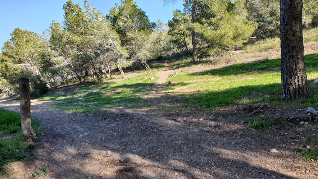 Subida Ruta de las Fortalezas