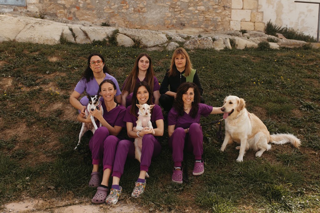 Clinica Veterinaria Trivet Calafell — Perro