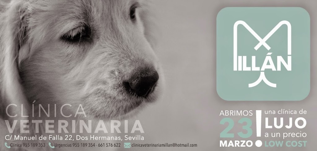 CLINICA VETERINARIA MILLAN