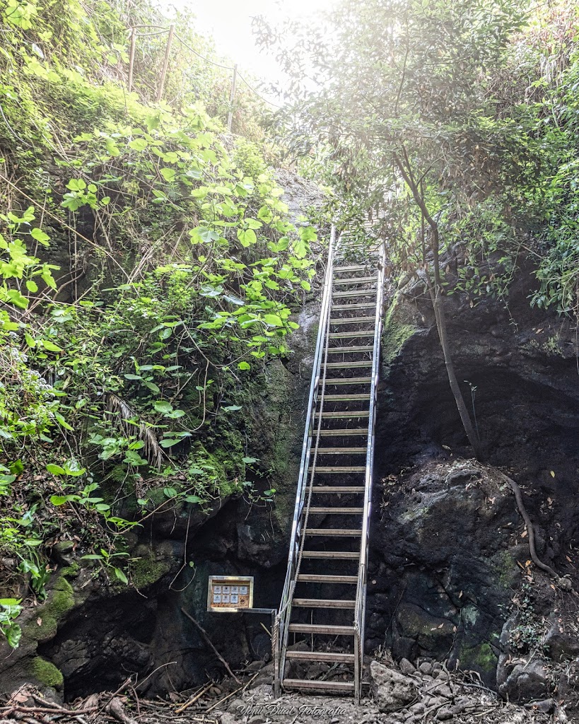 Barranco Del Alamo, Teror
