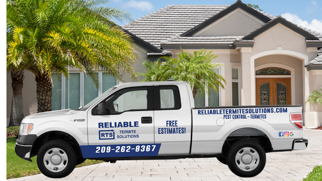 Reliable Termite Solutions