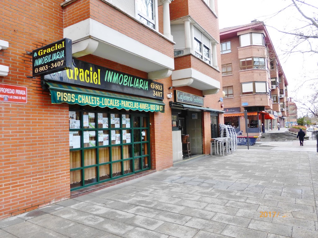 GRACIEL GESTION INMOBILIARIA TRES CANTOS — Del propietario