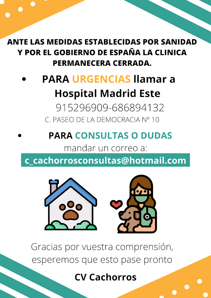 Clinica Veterinaria Cachorros — Del propietario