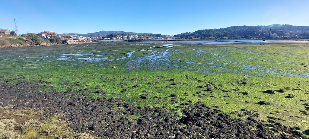 Sendeiro Litoral de Poio — Todas