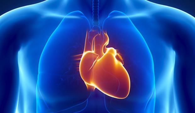 Dr. Dr V Ganesh Md Dm