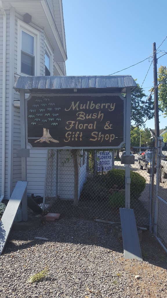 Mulberry Bush