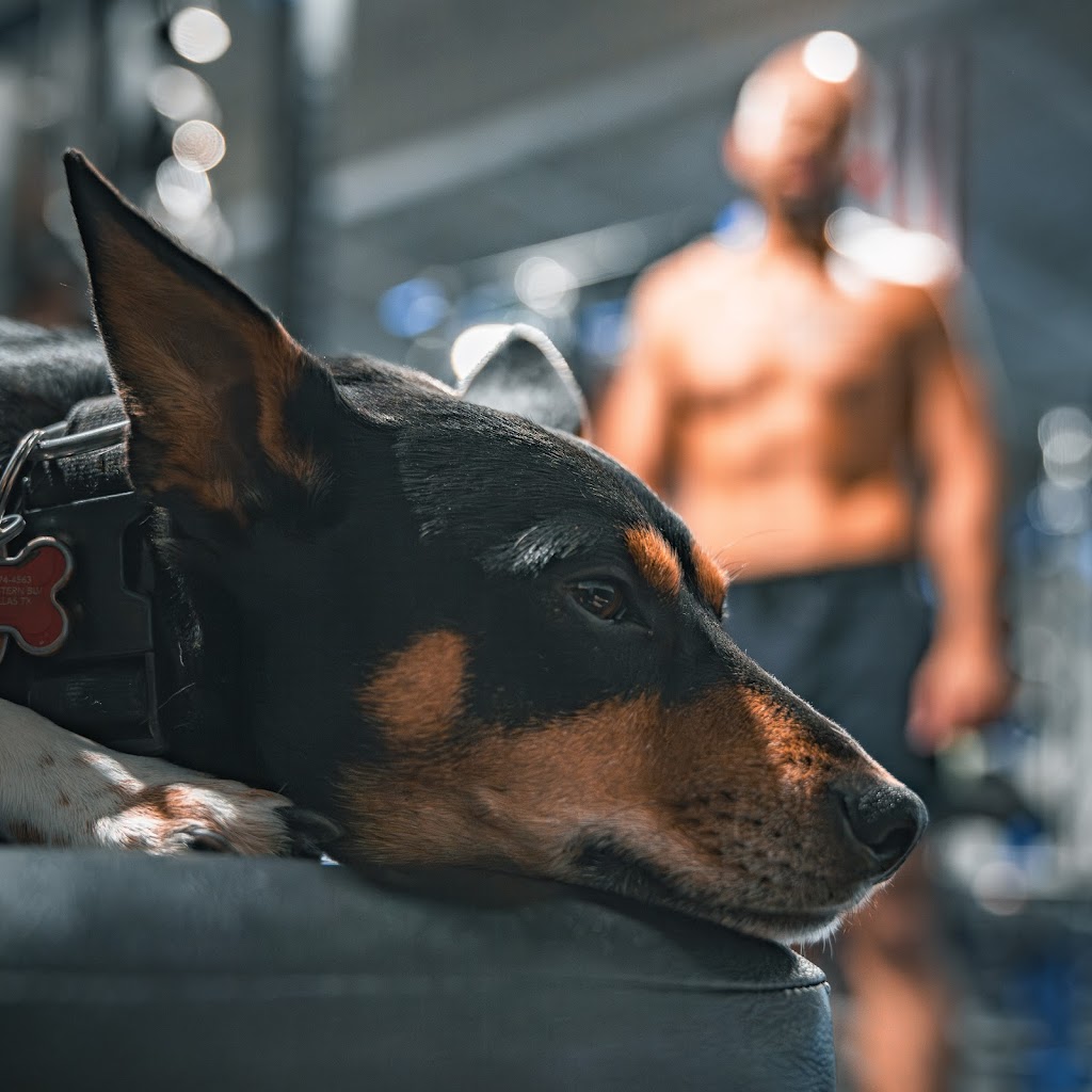  Simpli Savage Coaching