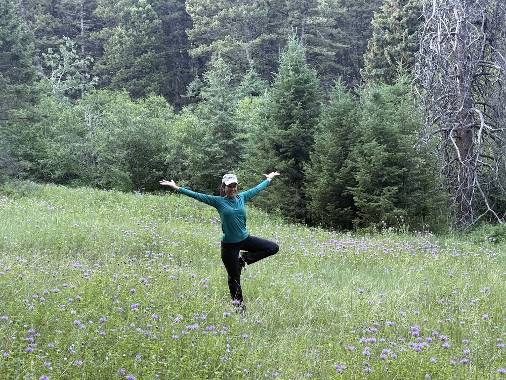  The Studio in Staunton