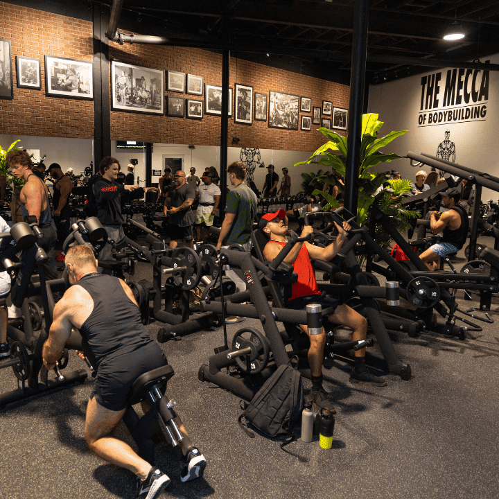  Gold's Gym Tampa (Gas Worx)