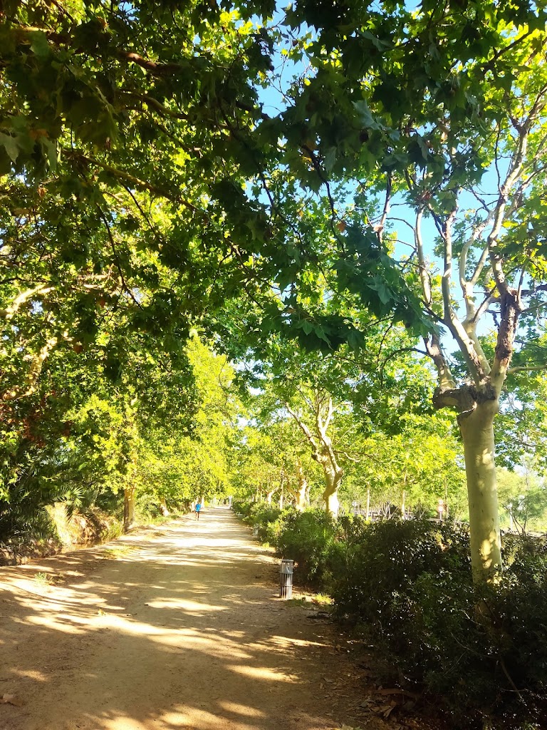 Camino de la playa del Prat