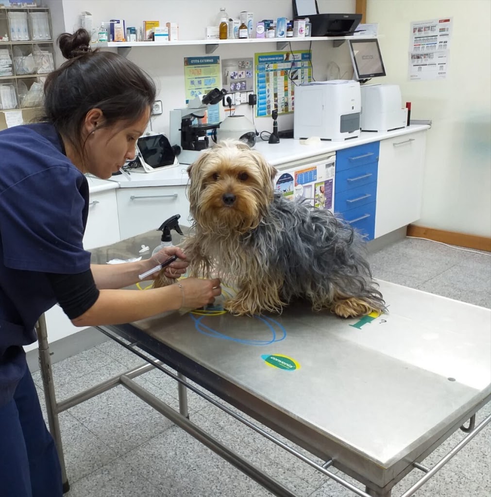 Clinica Veterinaria La Mota — Del propietario