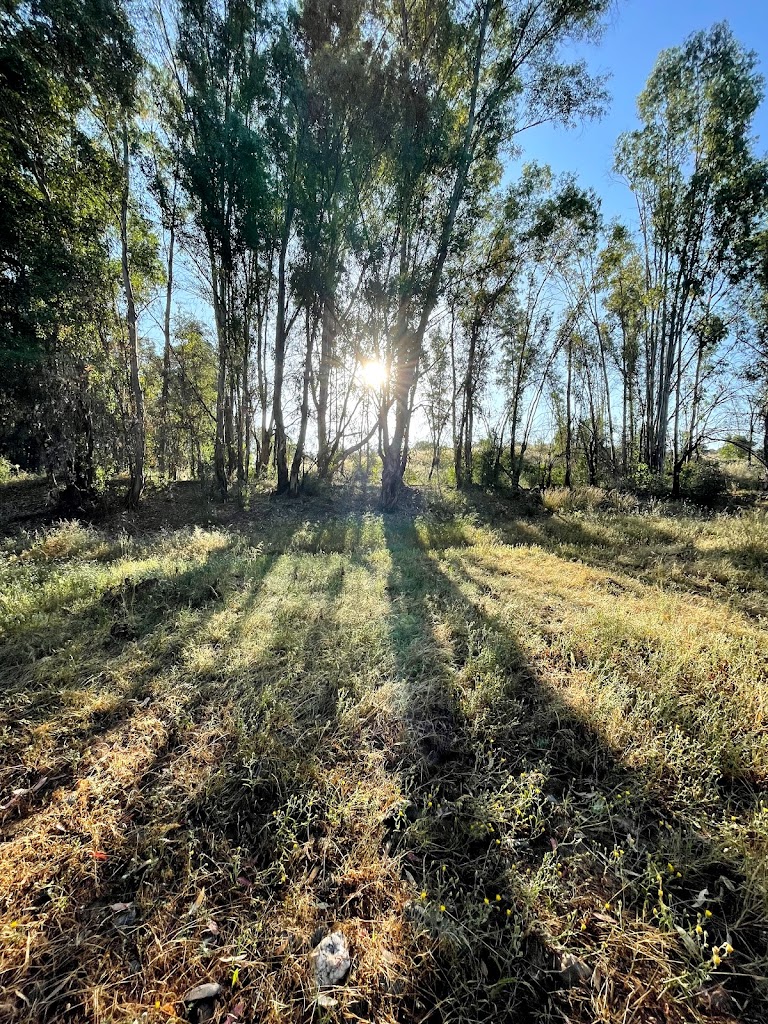 Sendero de los molinos del Viar