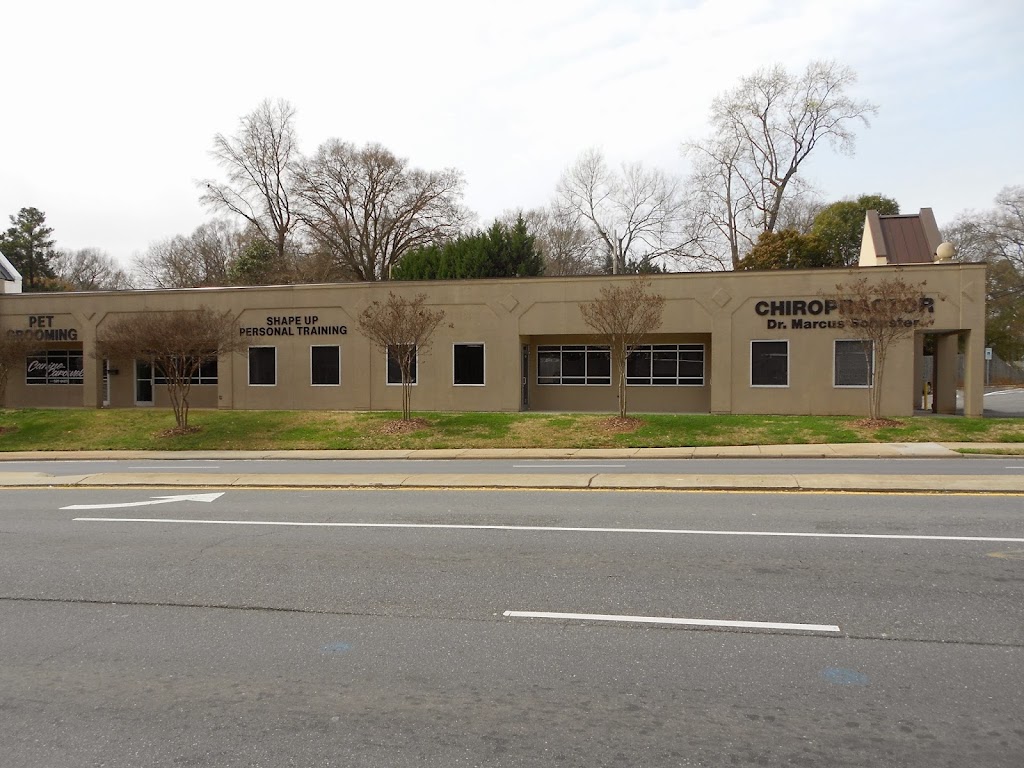  Shape Up Fitness & Wellness Consulting