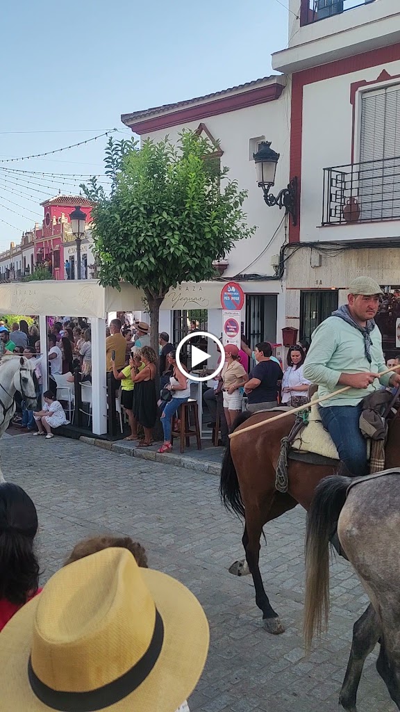 Terraza Las Yeguas — Videos