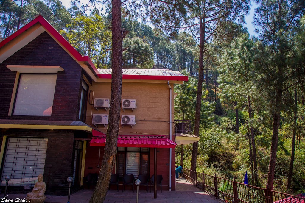 Classic Pine View Villa