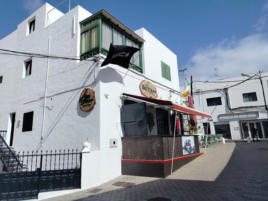 The Big Tree Irish Pub — Mas recientes