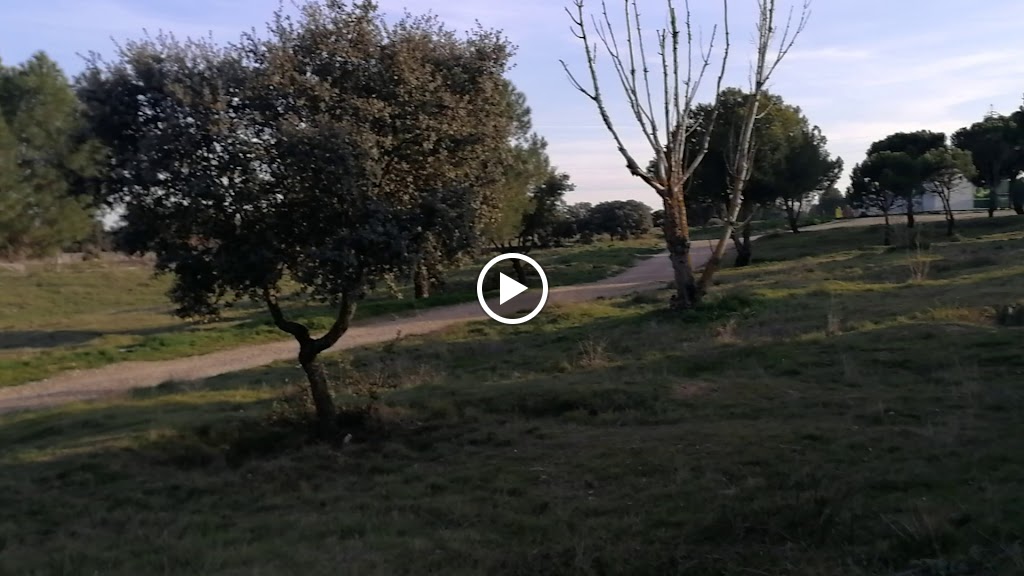 Parque Sur Tres Cantos