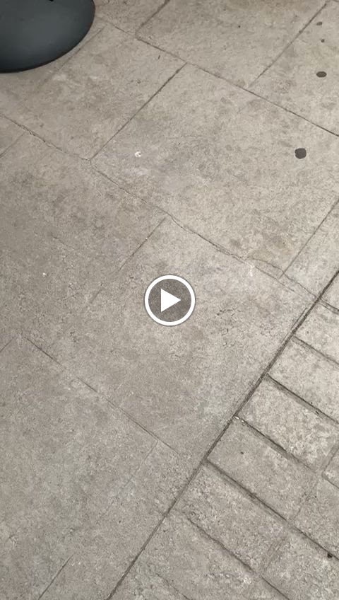 Mandala Benalmadena — Ambiente