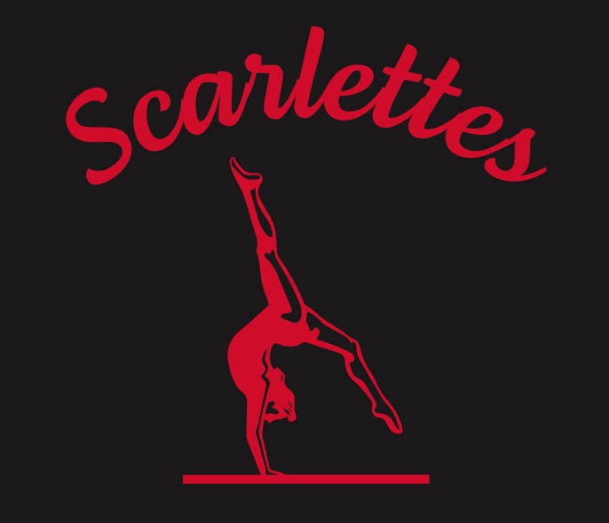  Scarlet Knights Gymnastics Academy