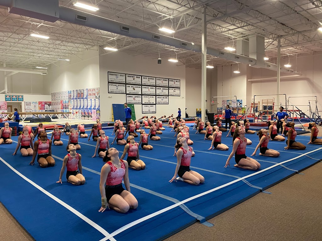  Kurt Thomas Gymnastics