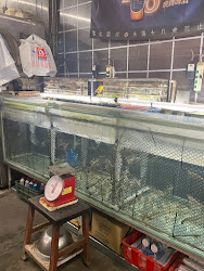 64511297c4d1698e1a0fa546 的照片