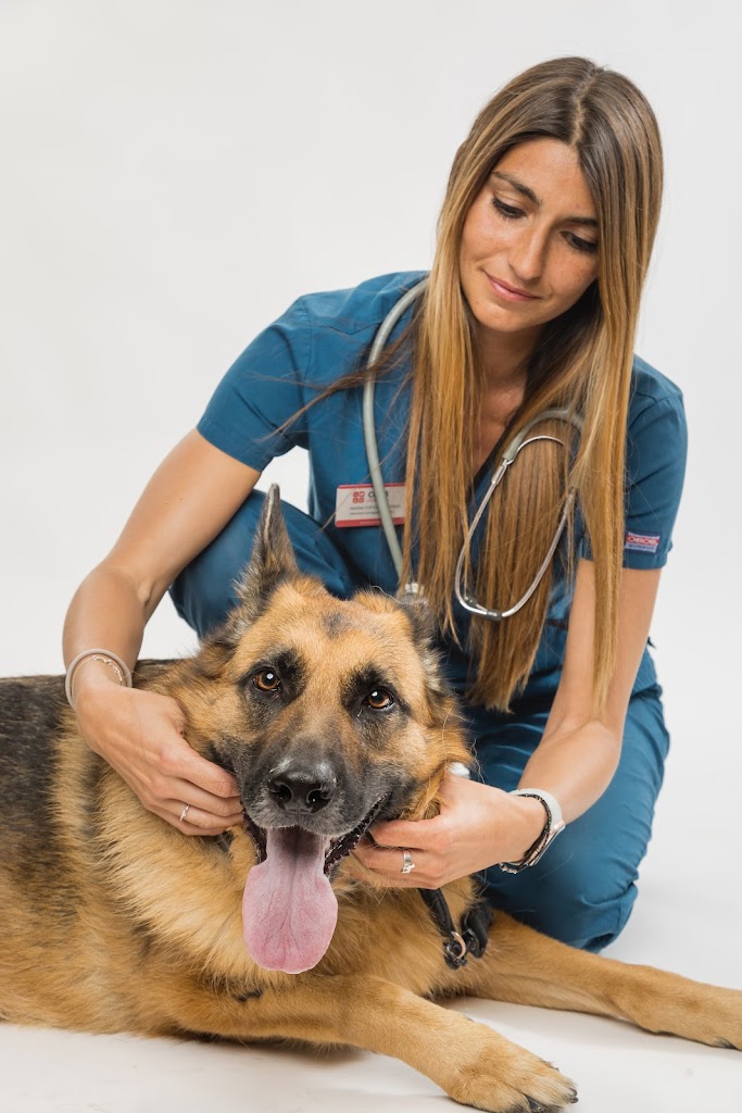 AlmaVet | Consulta Veterinaria | Marina Fortea