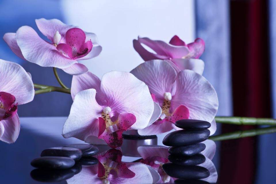 Centro De Estetica Cathy's