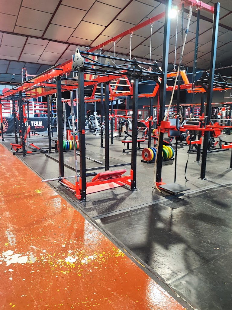 CAF - Cross Arts Fitness