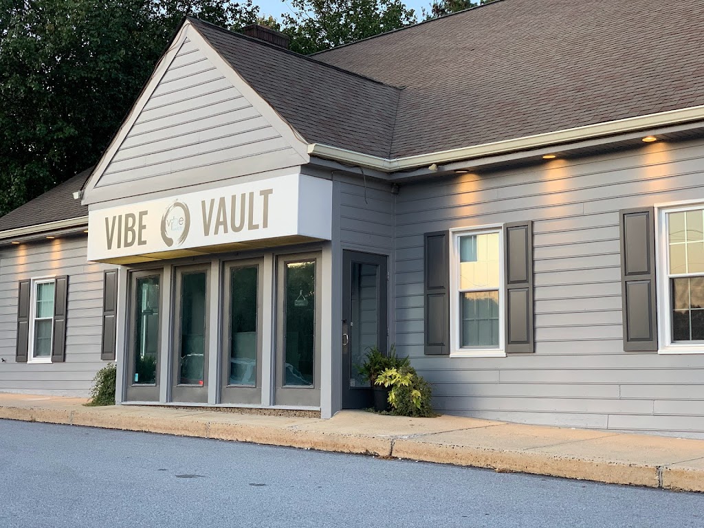  Vibe vault fit