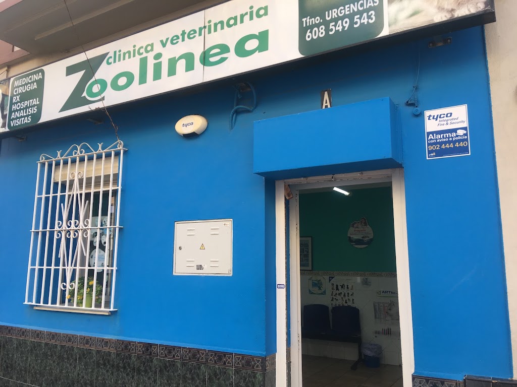 Clinica Veterinaria Zoolinea — Del propietario