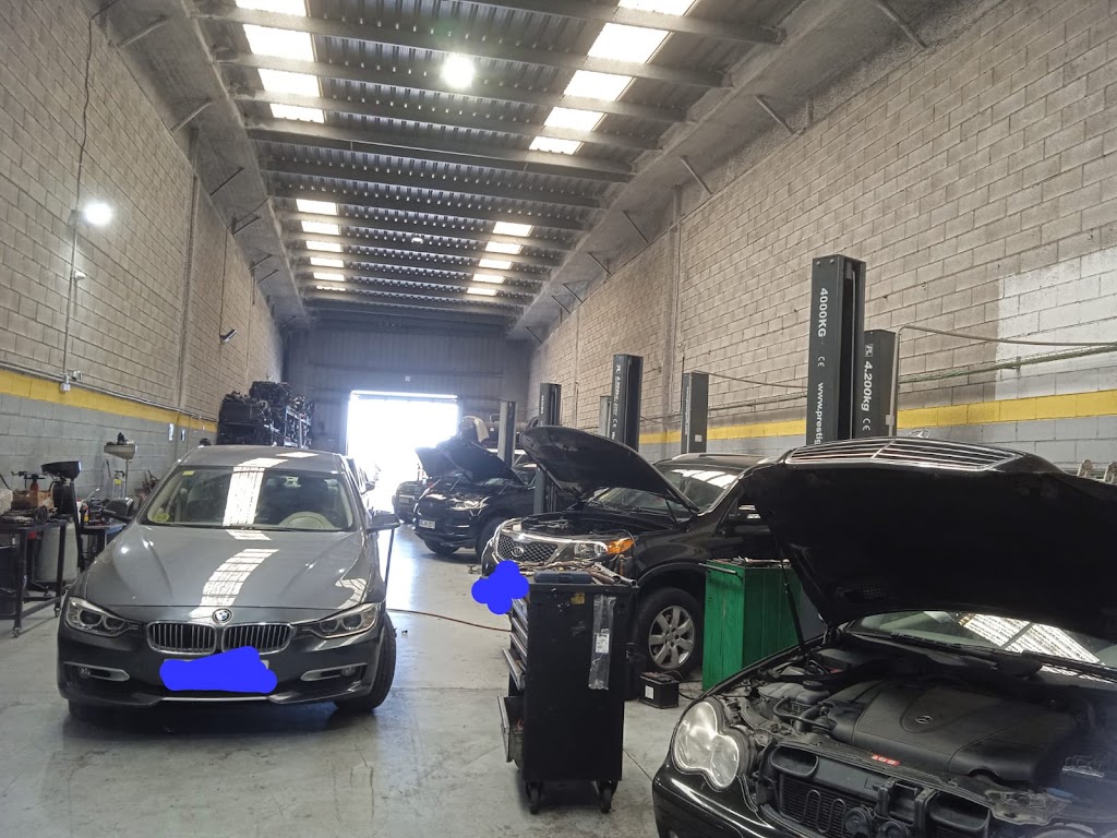 Taller Rayan Export 20 s.l