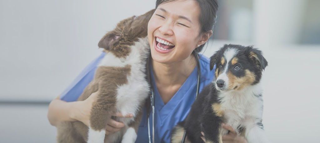 Covetrus Software Solutions