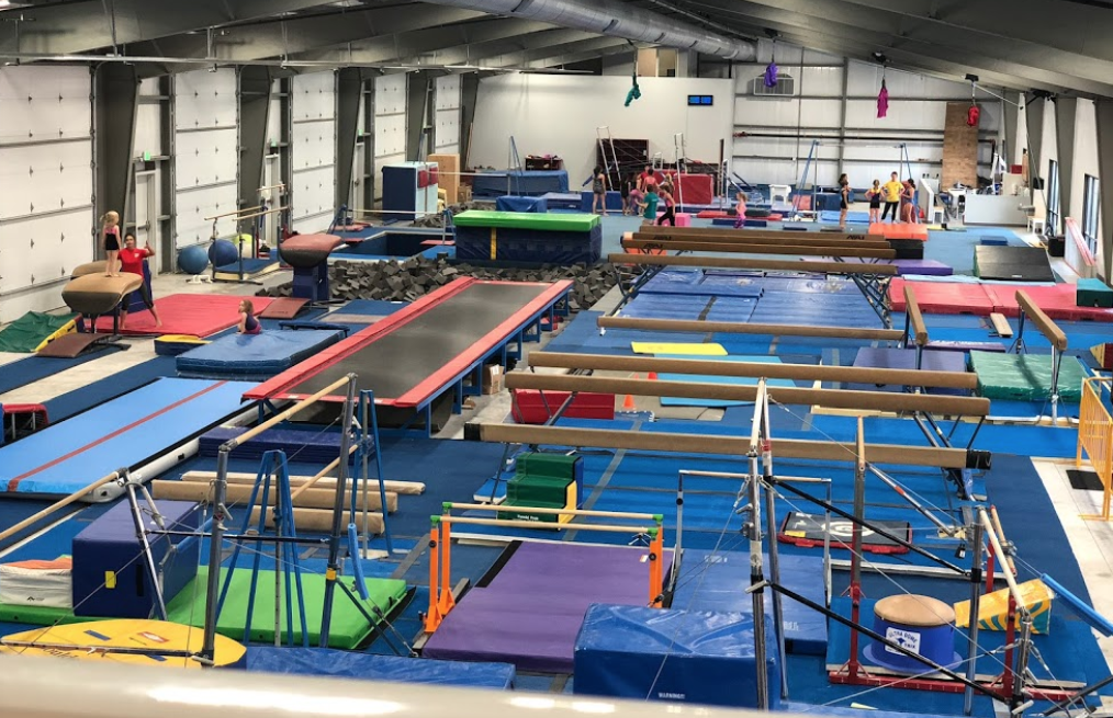  Precizion 509 Gymnastics