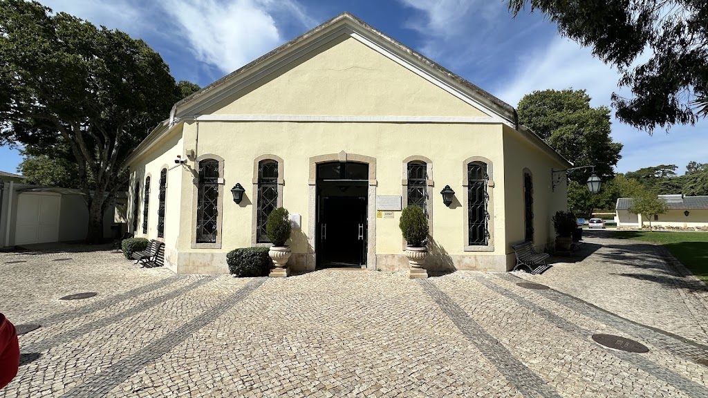 Museu do Mar Rei Dom Carlos I