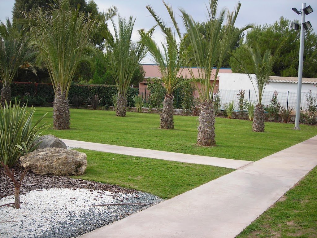 Novaedat Sagunto — Del propietario