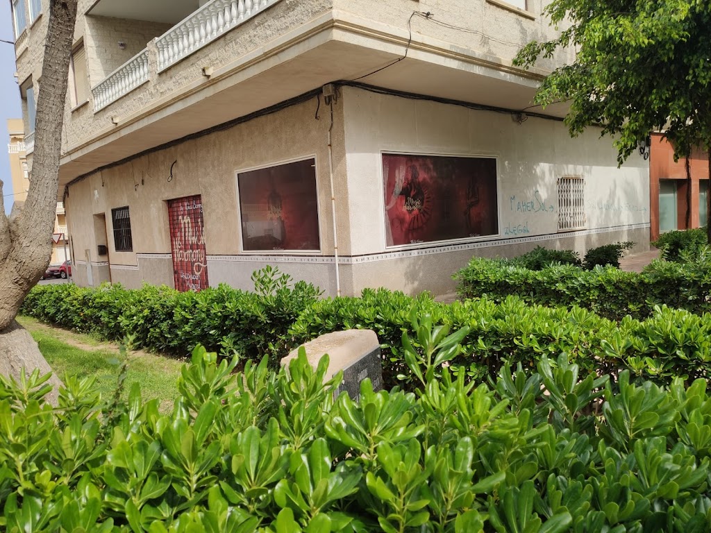 Music & Harmony- Academia de musica y canto