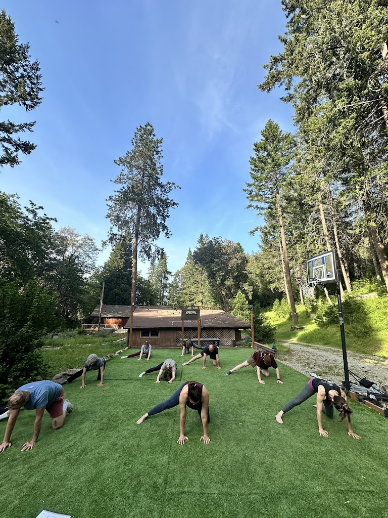  DCFIT: Strength Beyond Circumstance