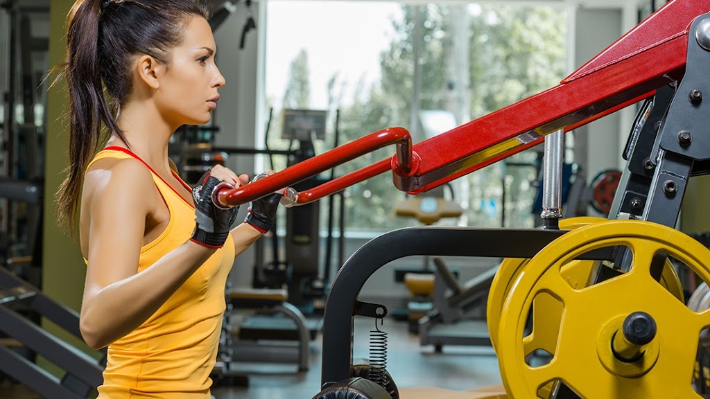  Wildcat Nutrition and Fitness Center (Formally Frucheys Gym)