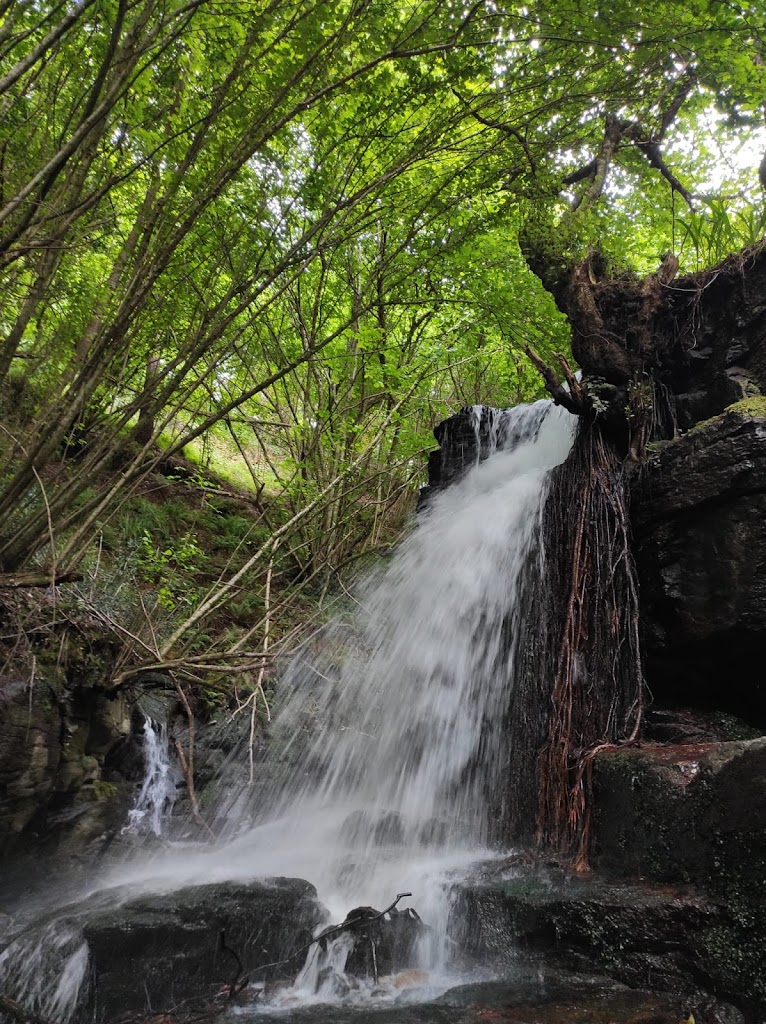 Ruta do Rio Eifonso