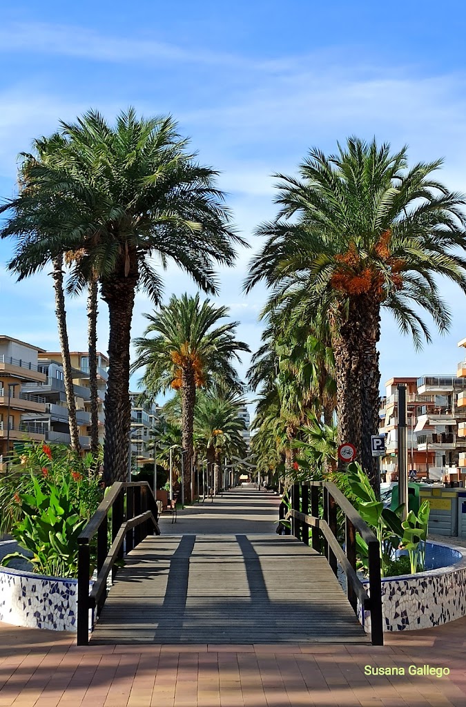 Avenida de la Marina