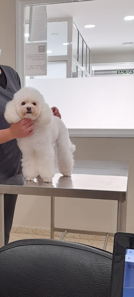 David da Rocha Veterinario — Todas