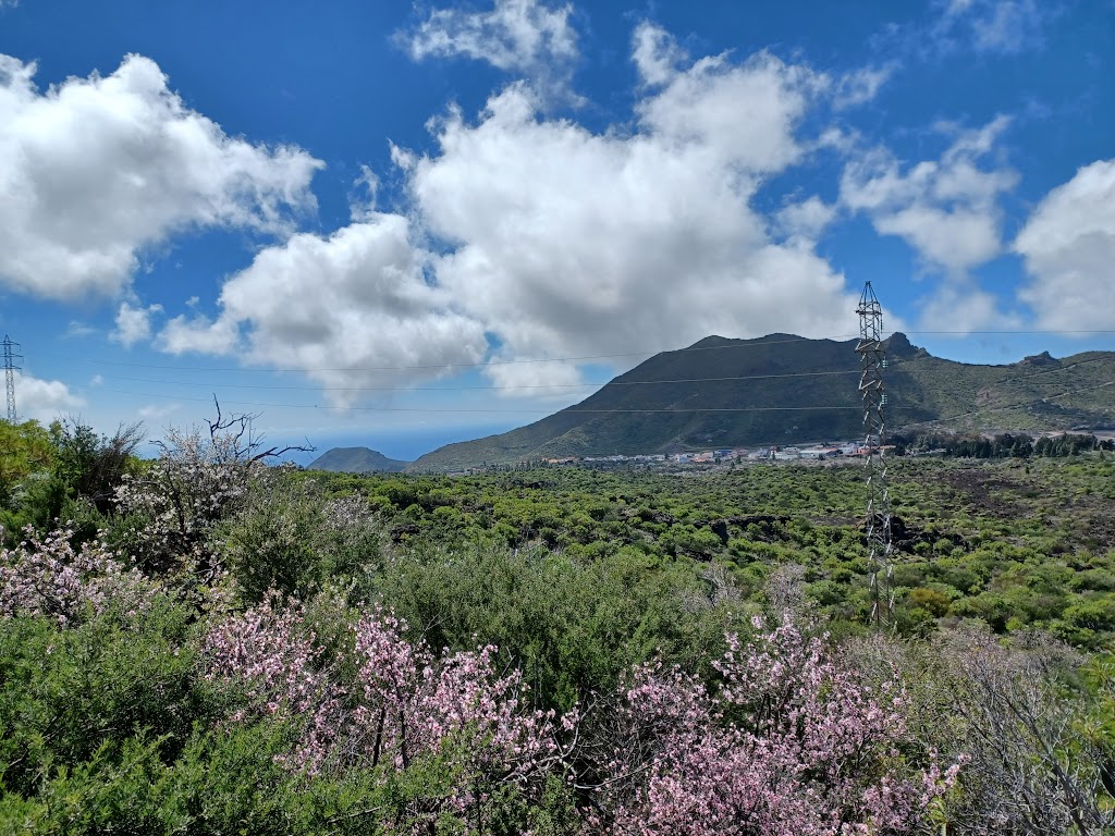 Ruta De Los Almendros