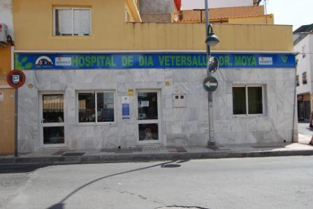 Hospital clinico veterinario Dr. Moya — Del propietario