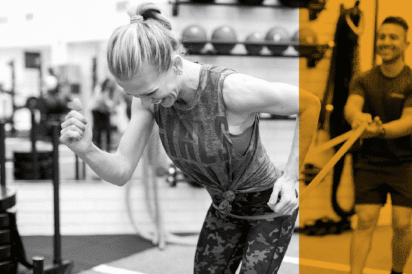  STARK - Beverly Hills/West Hollywood