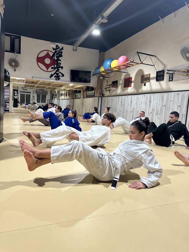 Dojo Zanshin — Arte marcial