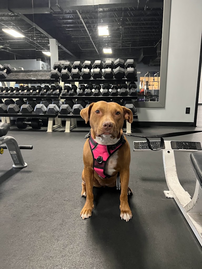  ProFormance Health & Wellbeing