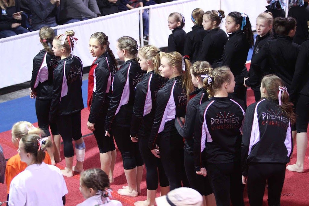  Premier Complex Gymnastics